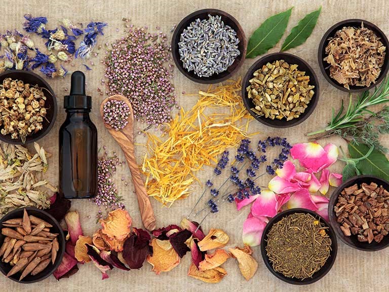 HERBAL REMEDIES/DRUG FORMULATIONS